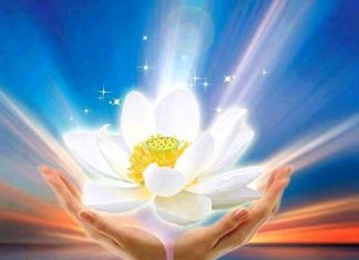 Chaque être choisissant d’exclure toute inquiétude, toute critique, sert l’éternelle victoire